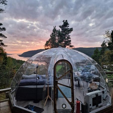 Sorfjorden Eye Iglo - Fosen 호텔 Husby 외부 사진