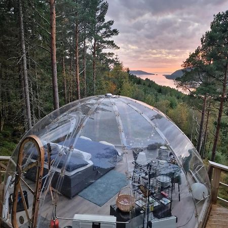 Sorfjorden Eye Iglo - Fosen 호텔 Husby 외부 사진