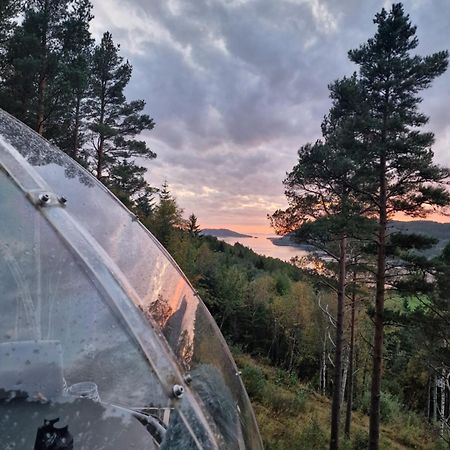 Sorfjorden Eye Iglo - Fosen 호텔 Husby 외부 사진