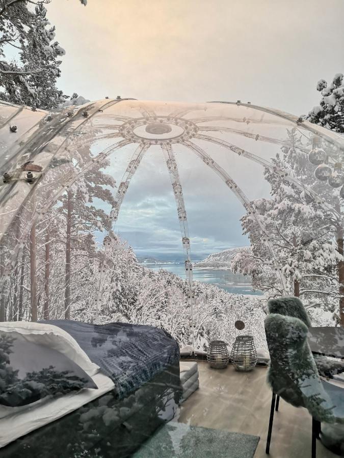 Sorfjorden Eye Iglo - Fosen 호텔 Husby 외부 사진
